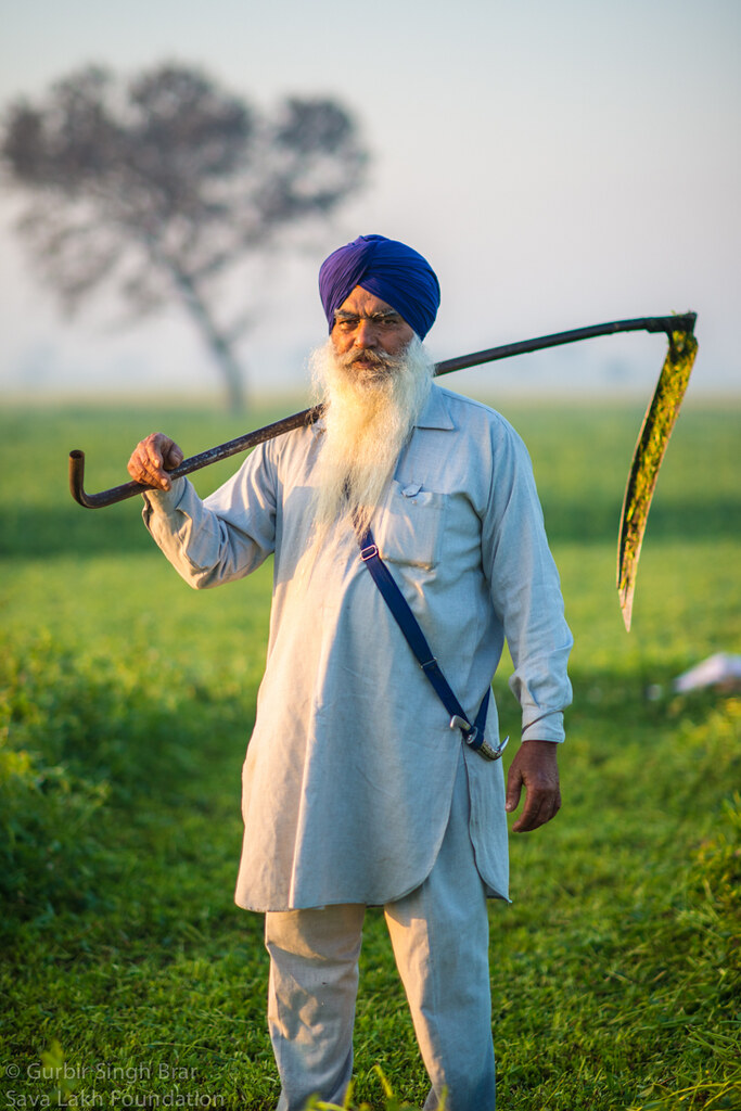 Nagaur Farmer